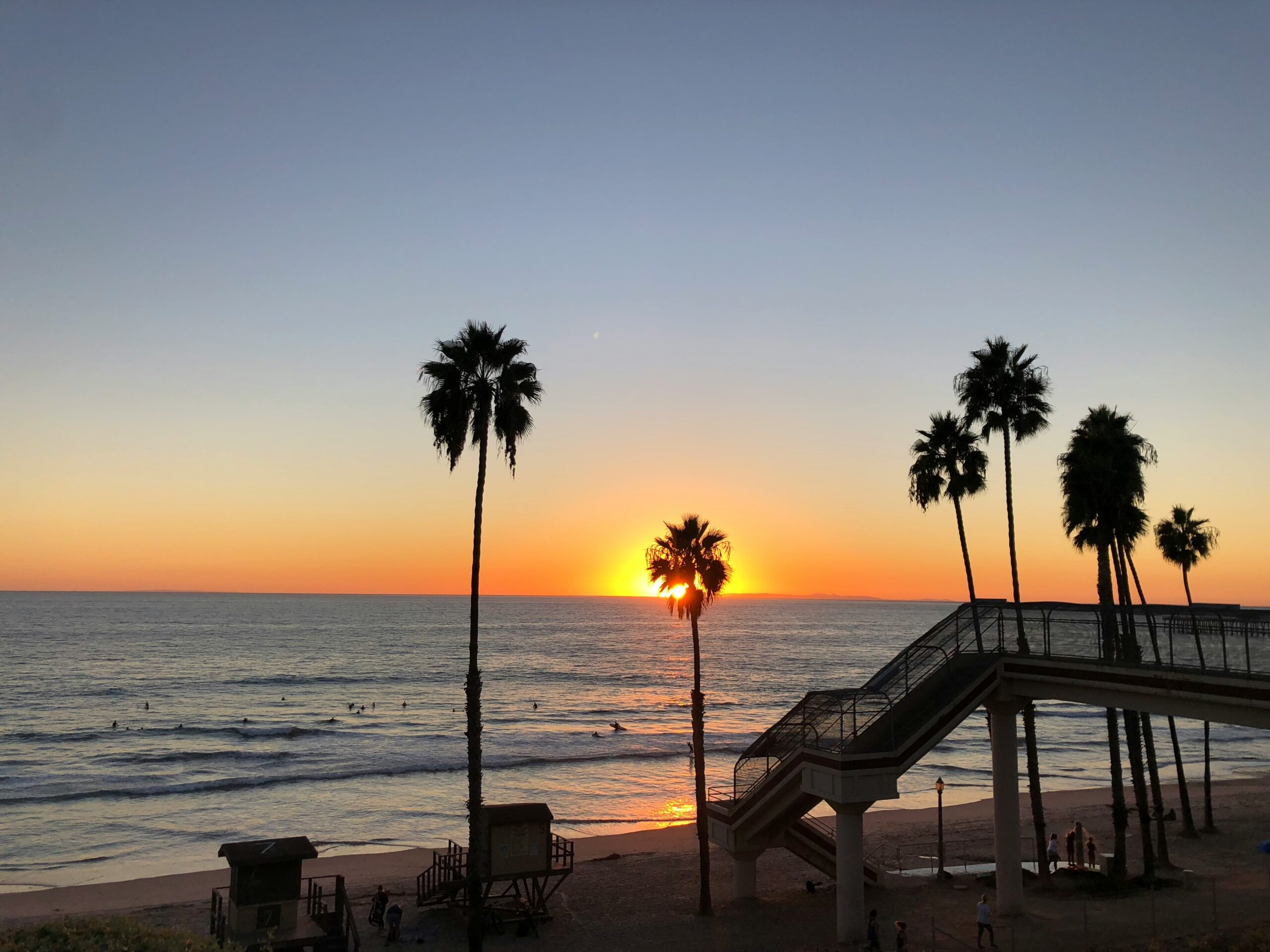 Palm trees overlooking a southern california beach