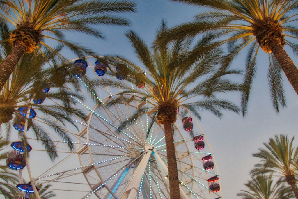 Palm trees and a ferris wheel at the Spectrum in Irvine, California